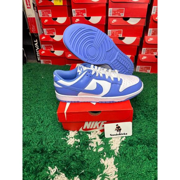 Nike Dunk Low 'Polar Blue' DV0833-400 Size 9M